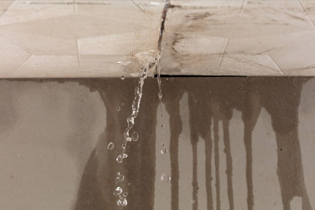Professional Structural Drying technician working in Forest Junction, WI